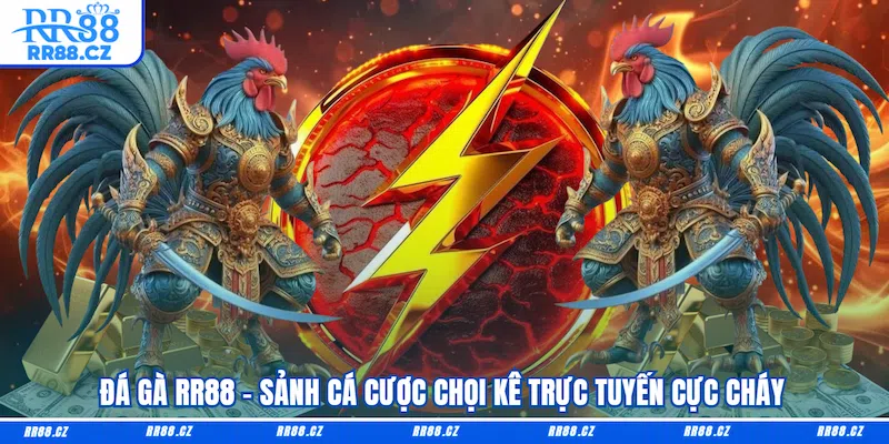 Đá Gà RR88